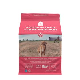 Wild-caught salmon & ancient grains dry dog food