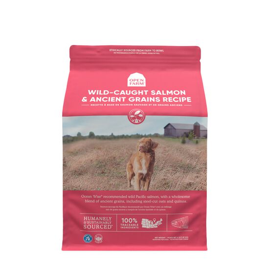 Wild-caught salmon & ancient grains dry dog food Image NaN