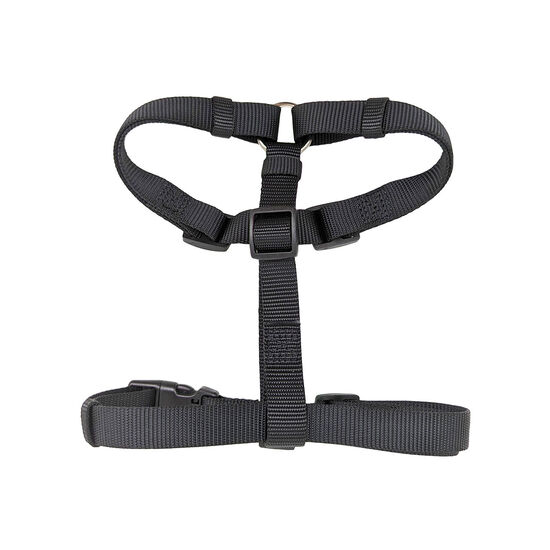 Harness for Dogs Image NaN