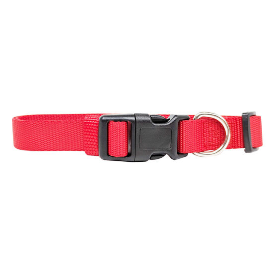 Nylon Collar for Dogs Image NaN