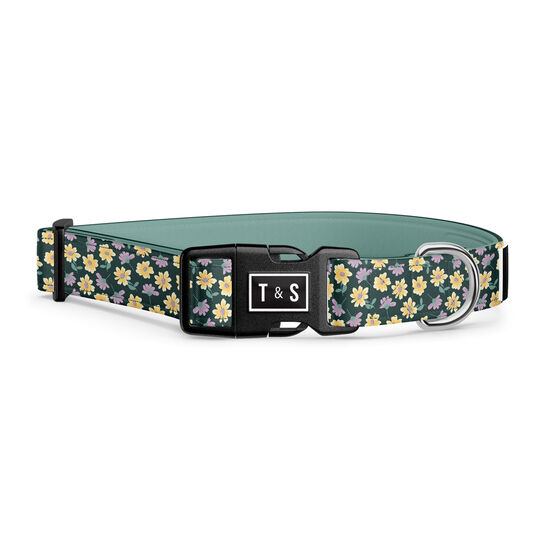 Margot Adjustable Dog Collar Image NaN