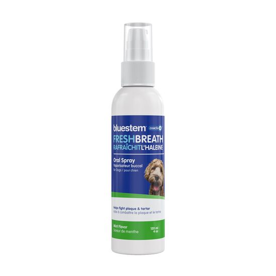 Oral Spray for Dogs, Mint Flavour Image NaN