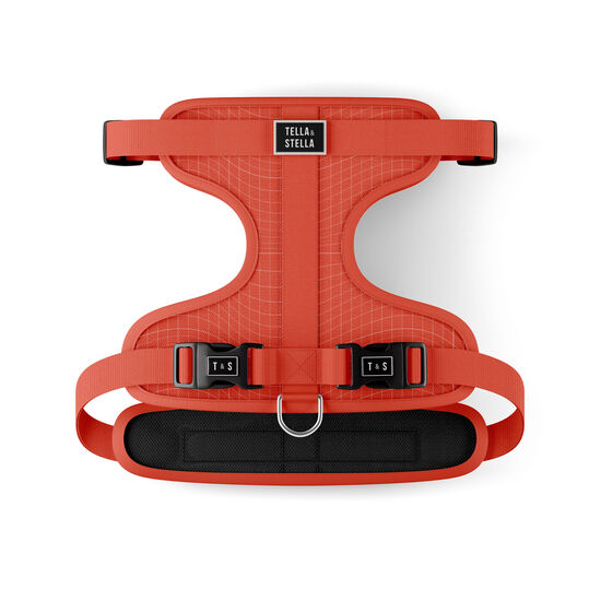 Tango Dog Harness Image NaN