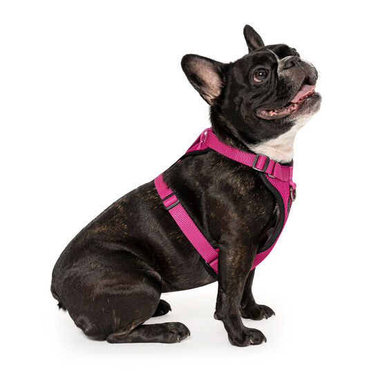 Everything Harness for Dogs Image NaN
