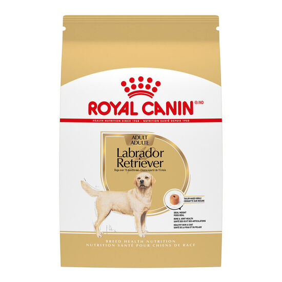 Nourriture sèche pour chiens Labrador Retriever adultes Image NaN
