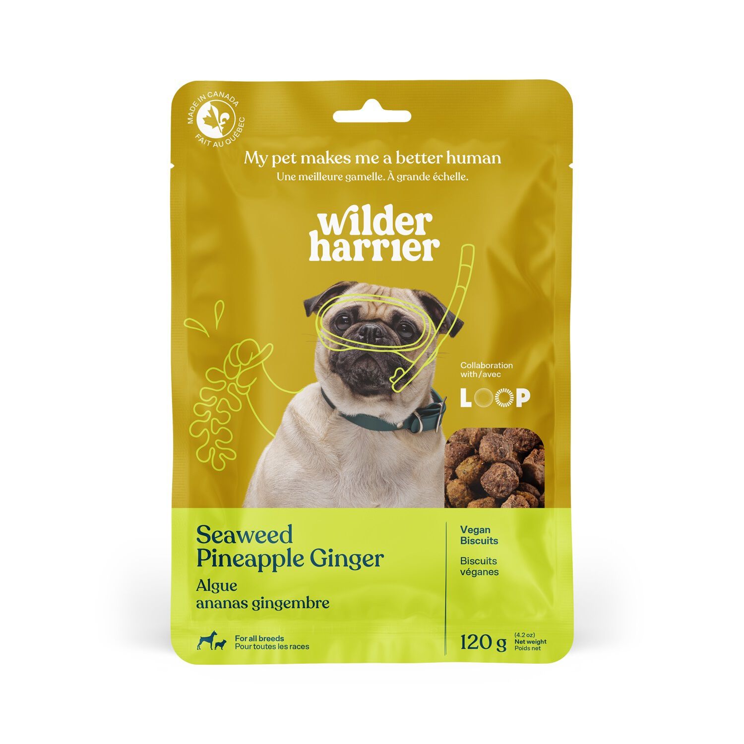 Wilder Harrier Vegan Dog Biscuits Seaweed Pineapple Ginger