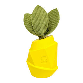 Pineapple Scented Dog Toy