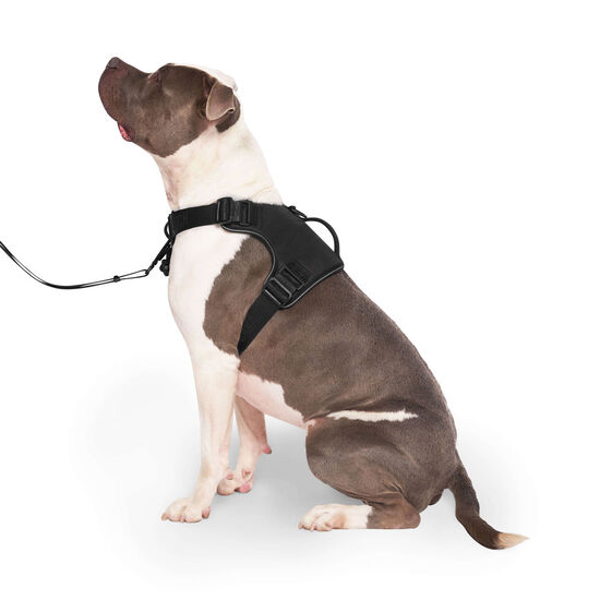 Complete Control Harness for Dogs Image NaN