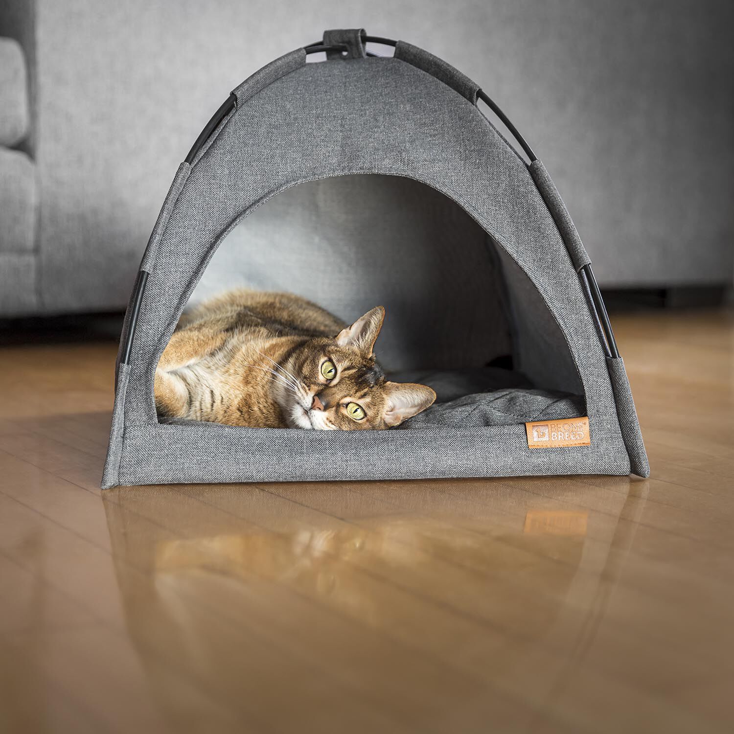 Petco best sale cat tent