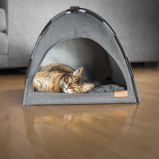 Tente de camping pour chats Image NaN
