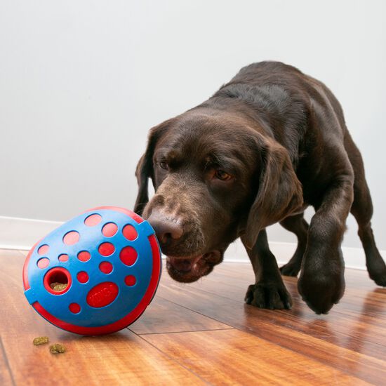 Wally Rewards treat dispenser toy for dogs Image NaN