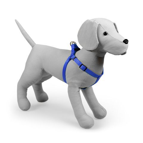 How to put on grreat choice dog harness best sale