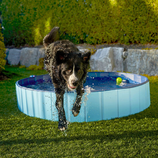 Foldable and Portable Pet Pool Image NaN