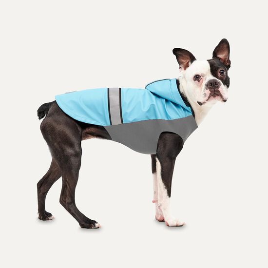 Manteau de pluie toutes saisons pour chiens Image NaN