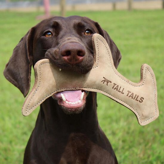 Natural Leather Antler Dog Toy Image NaN