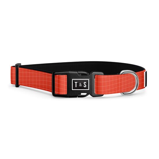 Tango Adjustable Dog Collar Image NaN