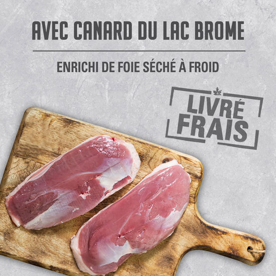 Pâté au canard du lac Brome pour chiens, 369 g Image NaN