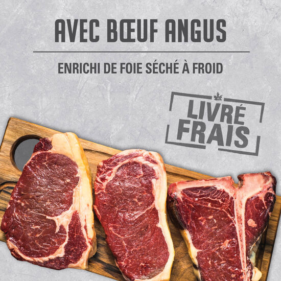 Pâté au bœuf Angus pour chiens, 369 g Image NaN