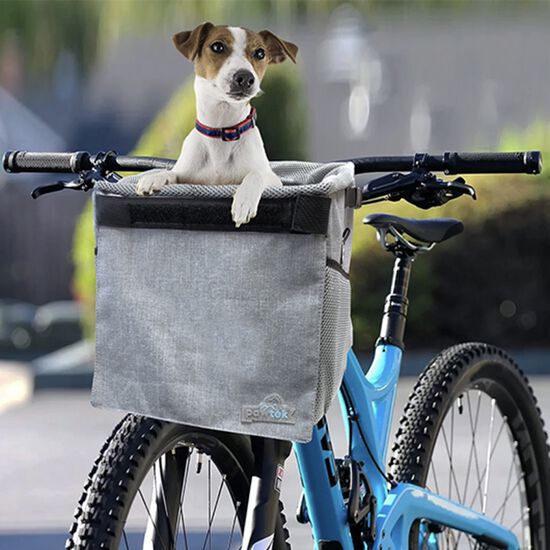 Faire du vélo en toute sécurité avec mon animal - Mon Bibou