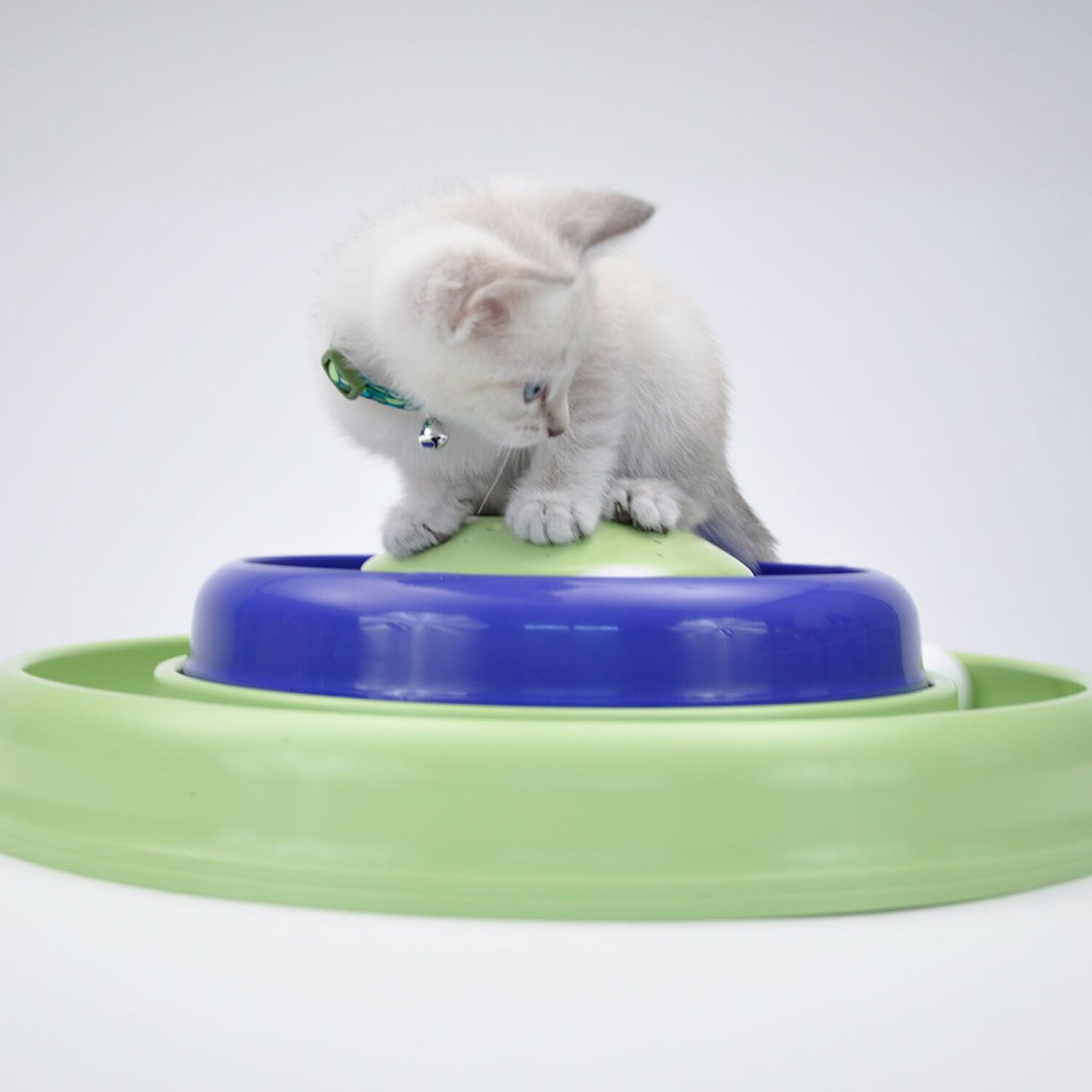 Bergan catnip hurricane top cat toy