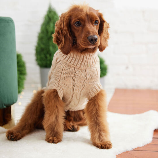 Chunky Cable Knit Turtleneck Chalet Sweater for Dogs Image NaN