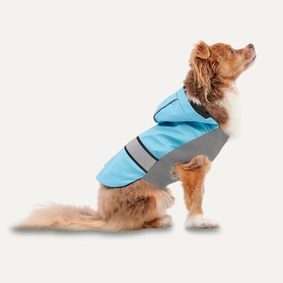 Manteau de pluie toutes saisons pour chiens Image NaN