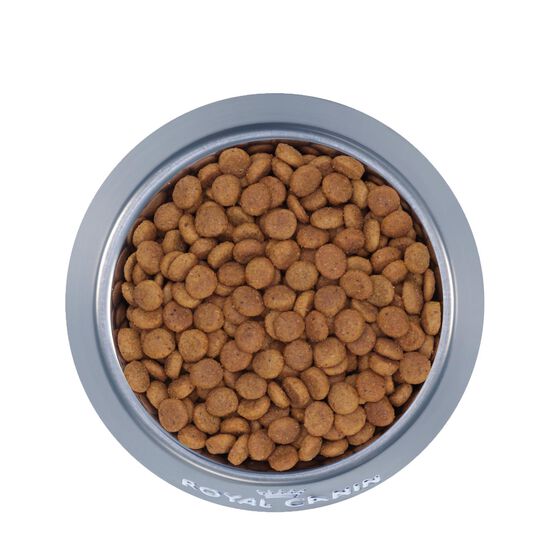 Nourriture sèche formule poils longs pour chats d'intérieur Image NaN