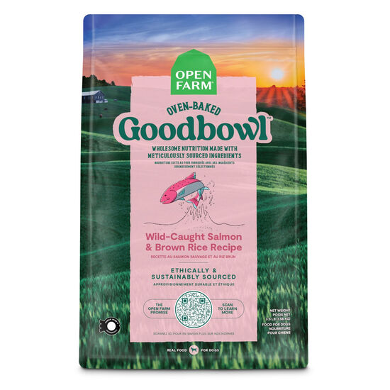 Recette de nourriture sèche « GoodBowl » au saumon sauvage et au riz brun pour chiens Image NaN