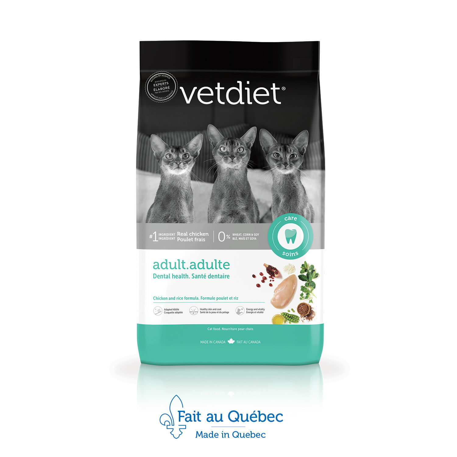 Kitten food hotsell for older cats