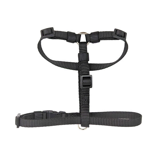 Harness for Dogs Image NaN