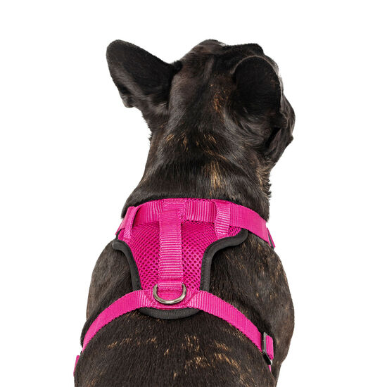 Everything Harness for Dogs Image NaN