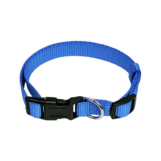 Nylon Collar for Dogs Image NaN