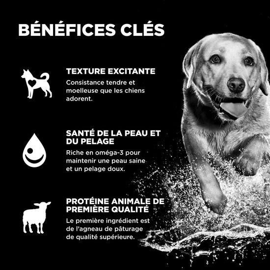 Gâteries « Benefit Chews Skin + Coat Care » à l’agneau pour les chiens Image NaN