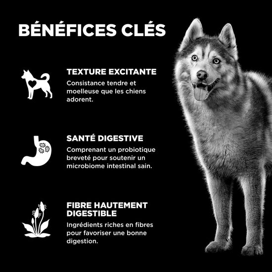 Gâteries « Benefit Chews Digestion + Gut Health » au saumon pour les chiens Image NaN