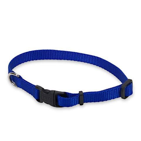 Navy blue dog collar hotsell and leash