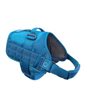 Harnais RSG Townie bleu, petit