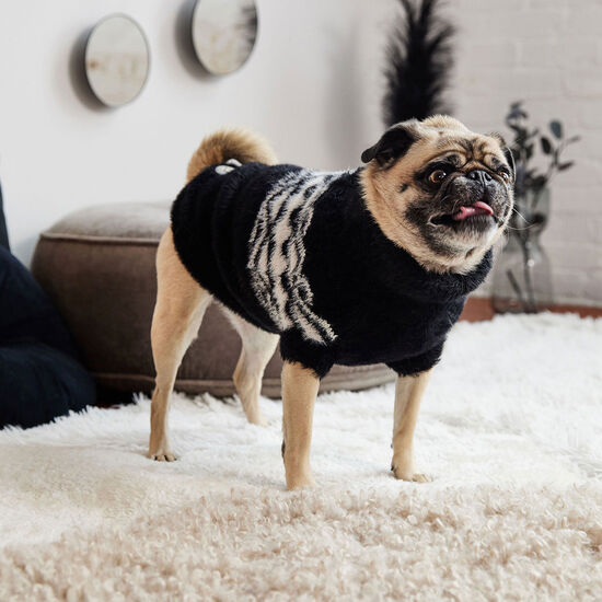 Fuzzy Sweater for Dogs Image NaN