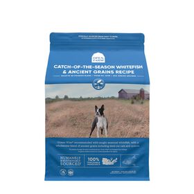 White fish & ancient grains dry dog food