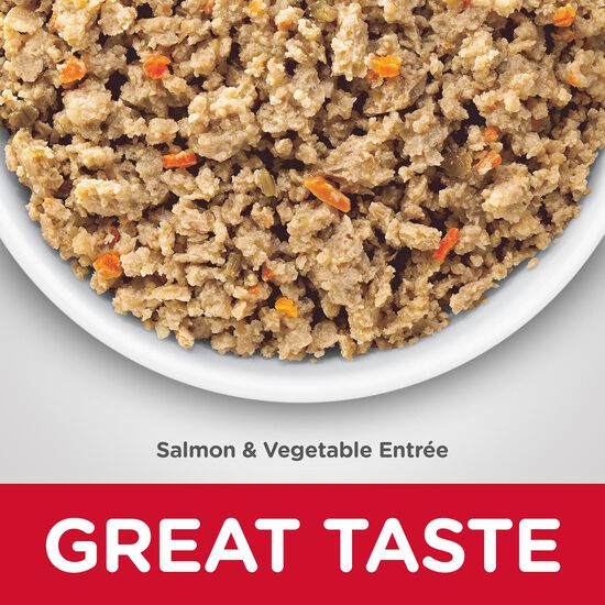 Entrée de saumon et légumes formule peau et estomac sensible pour chiens adultes, 363 g Image NaN