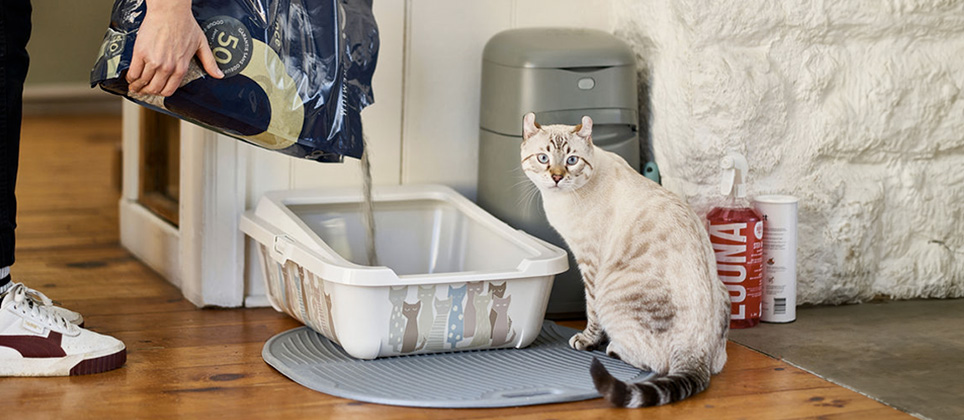 Comment choisir le bon bac à litière pour votre chat?