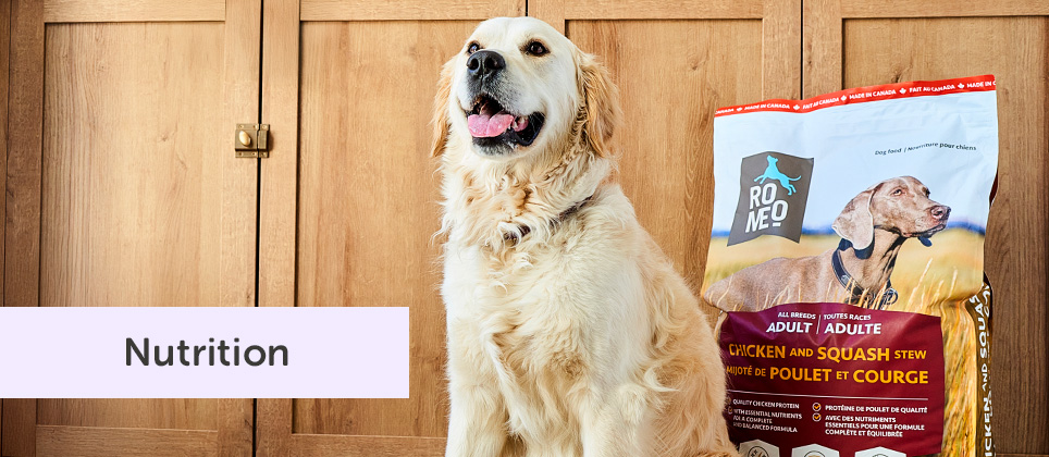 Romeo: la nouvelle nourriture sèche pour chiens, exclusive et abordable chez Mondou