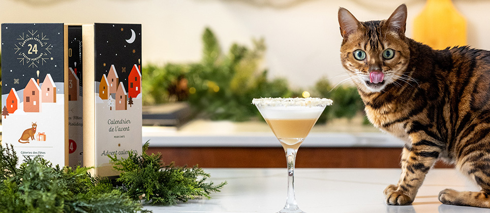 Les recettes Mondou : Le Martikitty, un cocktail des Fêtes pour Minou