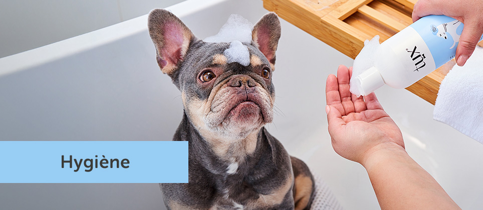 Comment choisir le bon shampoing pour son chien? Découvrez la gamme Tux