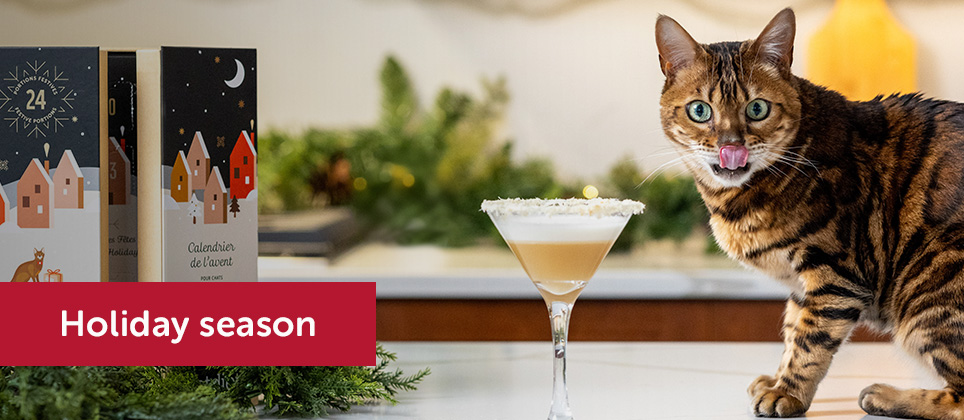 Mondou Recipes: The Martikitty, a holiday cocktail for your kitty