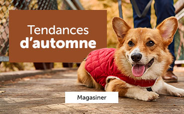 Magasinez les tendances automne