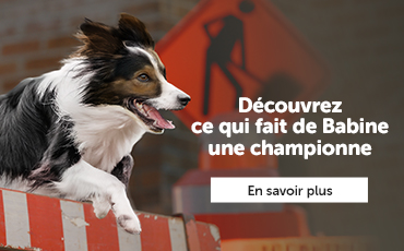 Du 1er au 20 janvier, épargnez jusqu'à 40% sur votre première commande récurrente sur Royal Canin, Vetdiet, Acana, Pro Plan, Hill's Scence Diet et Orijen. 