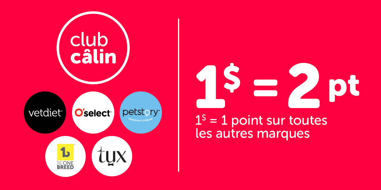 Club Calin