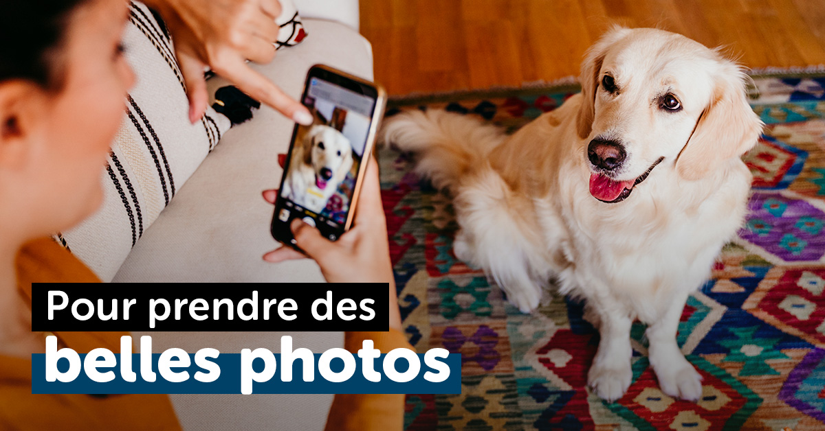 Accessoire selfie pour chien