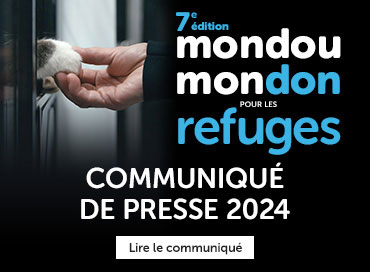 Communiqué de presse 2023 pour Mondou Mondou Mira