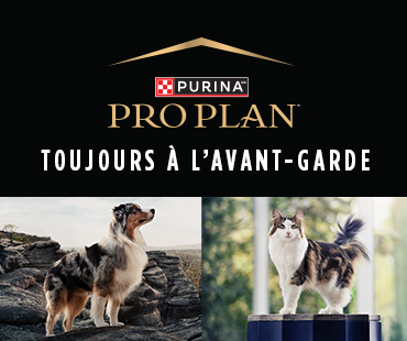 Pro Plan offre de la nourriture sèche et humide adapté pour votre chat et votre chien.